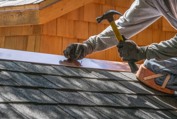 Best Green or Eco-Friendly Roofing Solutions  in Wilton Manors, FL