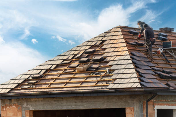 Best Roof Insulation Installation  in Wilton Manors, FL